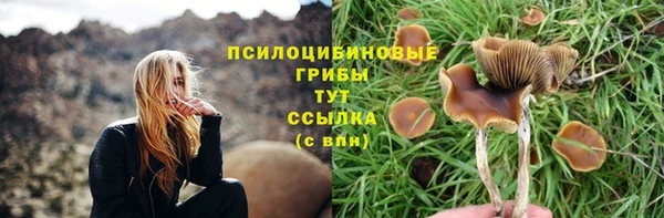 мет Красноперекопск