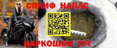 прущие грибы Краснознаменск